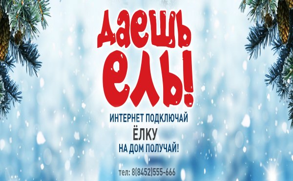 Даешь ель!
