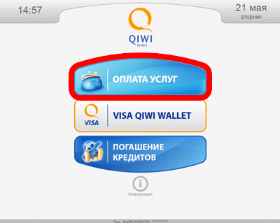 qiwi1.gif